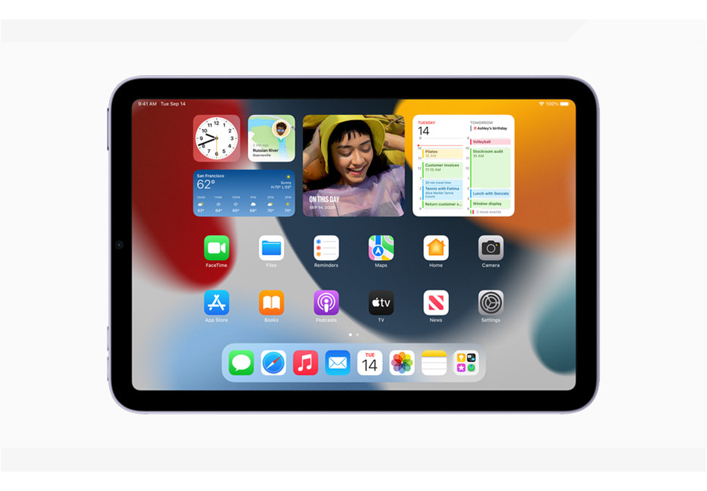 iPad mini Wi-Fi + Cellular 256GB - Space Grey 2021